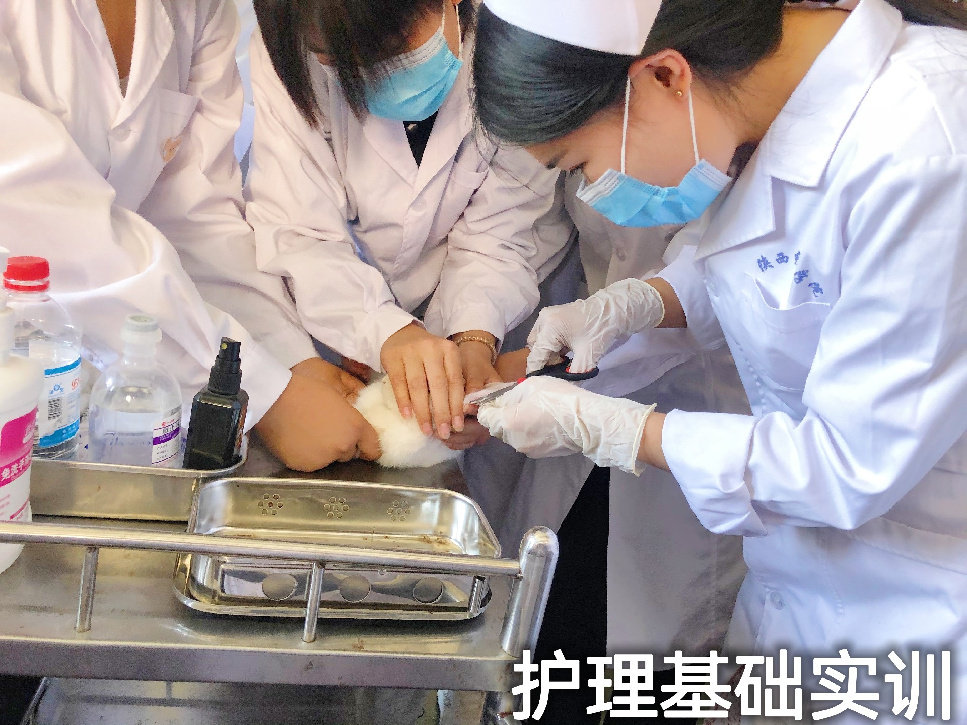 养老护理