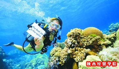 90后最向往的十大时尚新职业 微博运营最赚钱